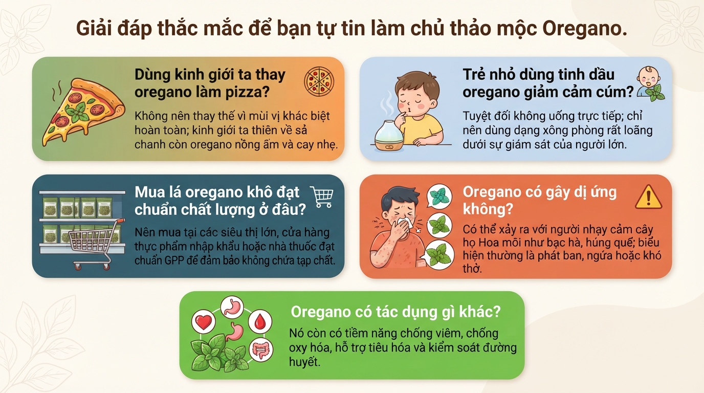 Lá oregano là gì? Tác dụng và cách dùng an toàn cho sức khỏe