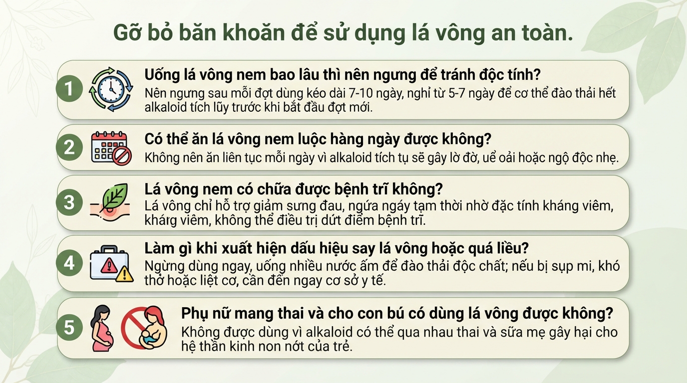Lá vông nem: Công dụng hỗ trợ an thần, mất ngủ và lưu ý khi dùng