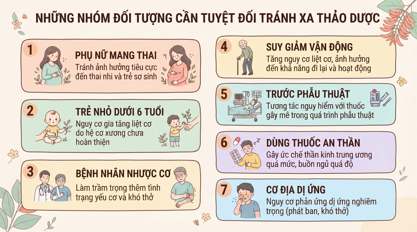 Lá vông nem: Công dụng hỗ trợ an thần, mất ngủ và lưu ý khi dùng