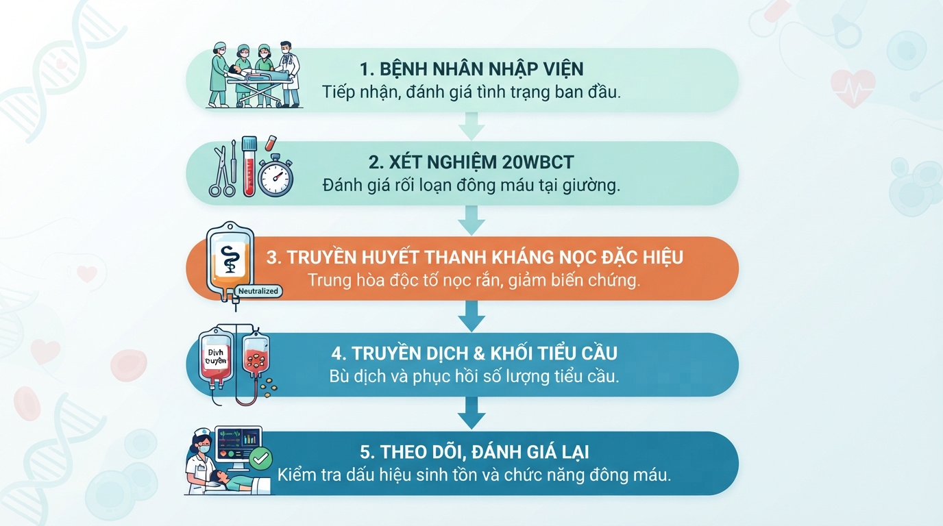 Liệu trình can thiệp y tế giúp vô hiệu hóa độc tố và phục hồi đông máu.