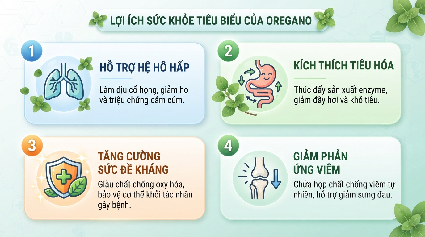 Lợi ích sức khỏe tiêu biểu khi bổ sung thảo mộc vào chế độ ăn uống hàng ngày.