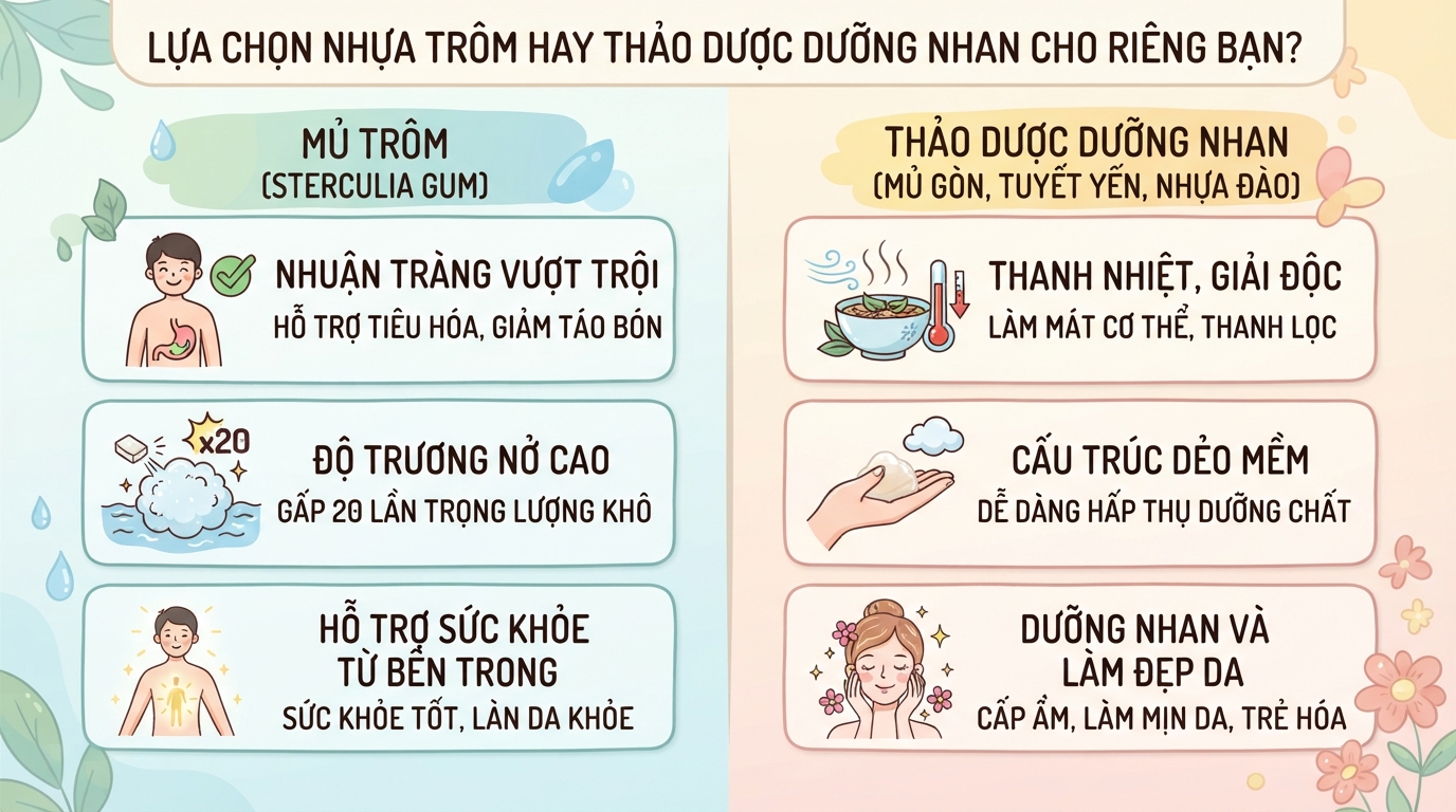 Mủ trôm: Tác dụng, cách dùng và những lưu ý an toàn cho sức khỏe