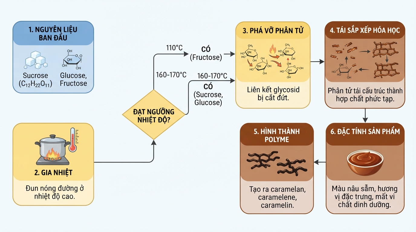 Nhiệt phân đường sucrose ở nhiệt độ cao tạo nên cấu trúc phân tử của caramel.