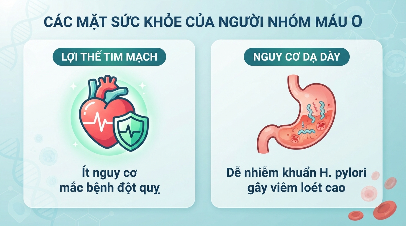 Nhóm máu O có lợi thế tim mạch nhưng dễ mắc các bệnh về dạ dày.