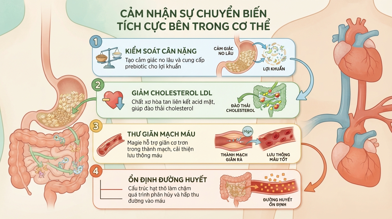 Các loại hạt ngũ cốc dinh dưỡng: 5 nhóm hạt tốt cho sức khỏe