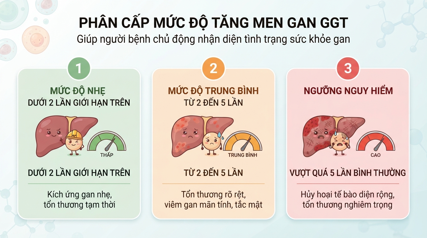 Phân cấp mức độ tăng men gan GGT giúp người bệnh chủ động nhận diện tình trạng sức khỏe gan.