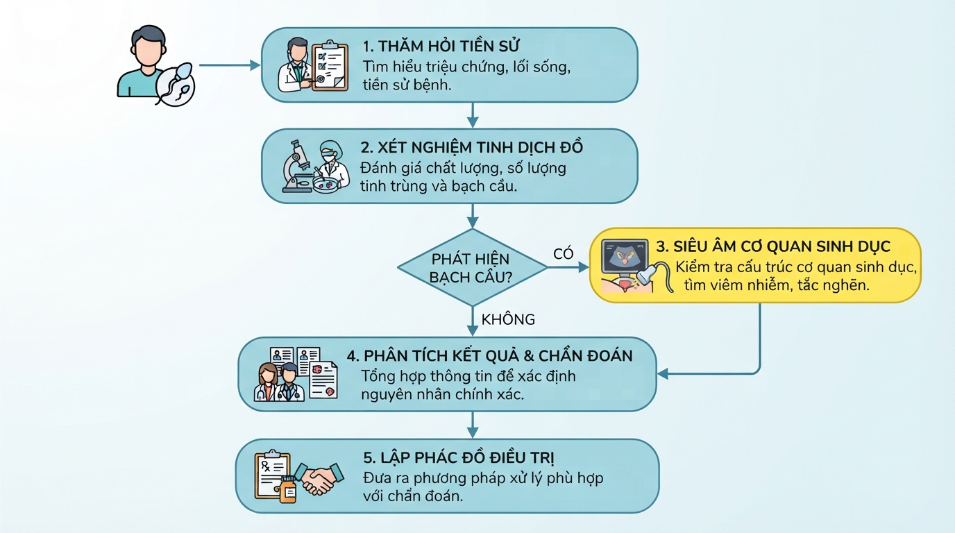Quy trình y khoa giúp xác định chính xác nguyên nhân khiến tinh trùng chuyển màu vàng.
