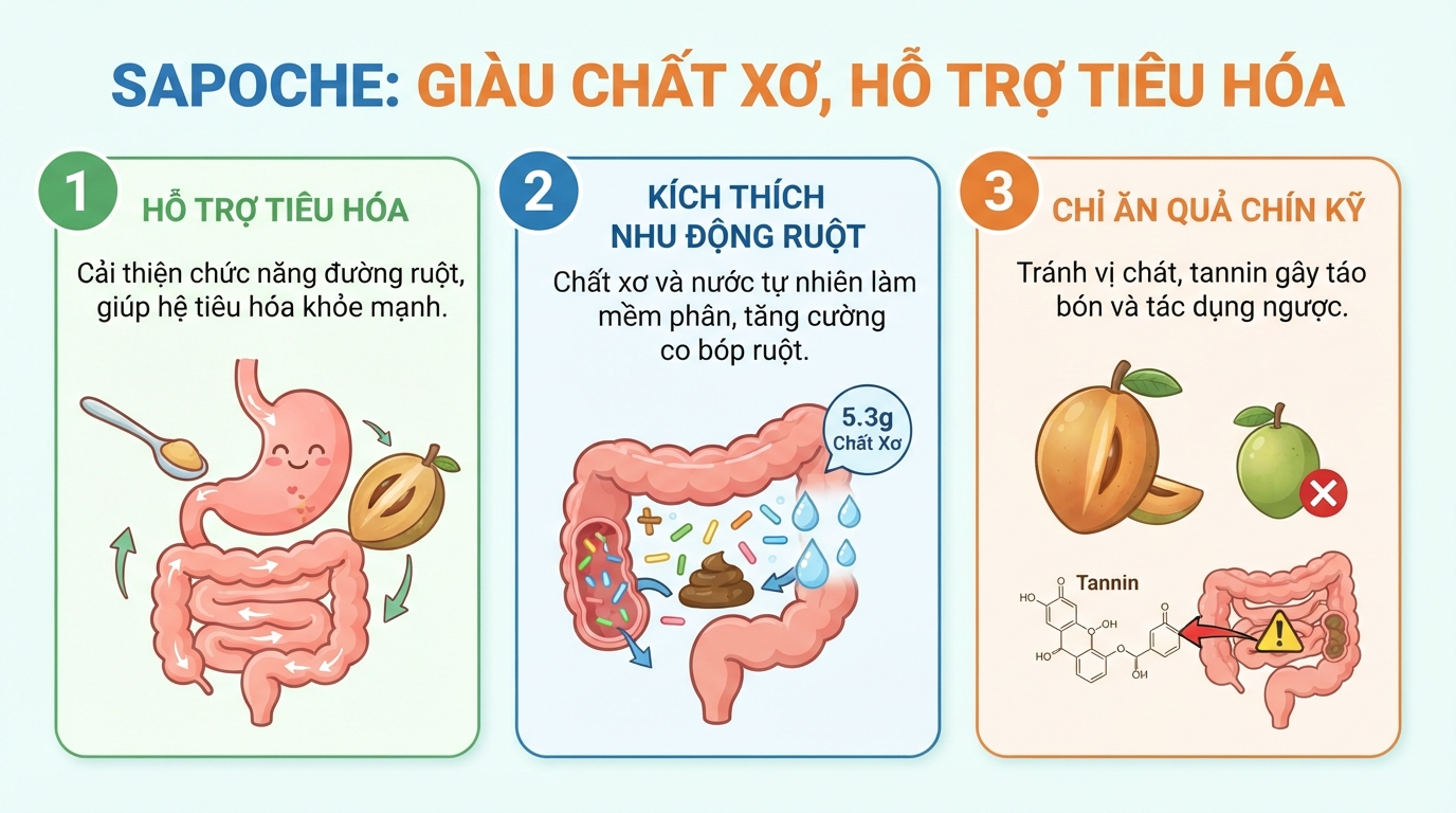 Sapoche chín cung cấp 5.3g chất xơ giúp kích thích nhu động ruột và hỗ trợ tiêu hóa.
