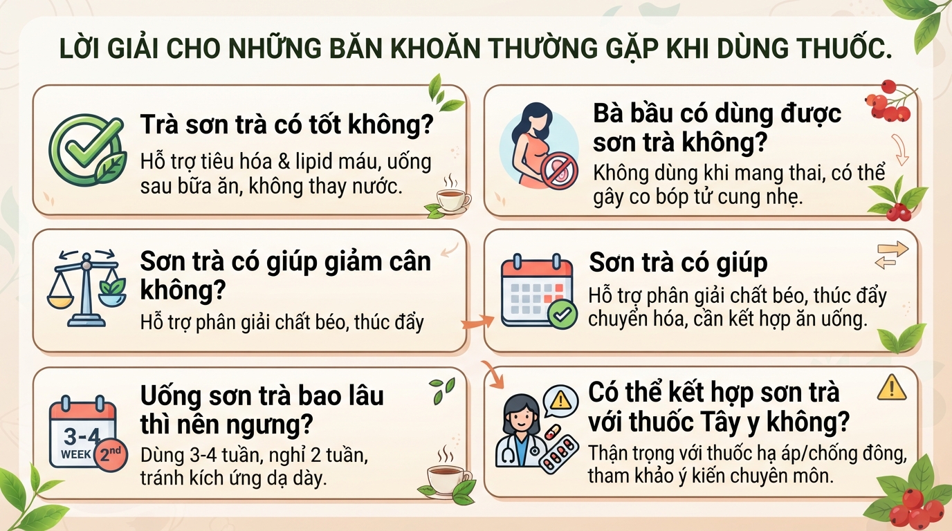 Sơn trà có tác dụng gì? Công dụng, cách dùng và lưu ý