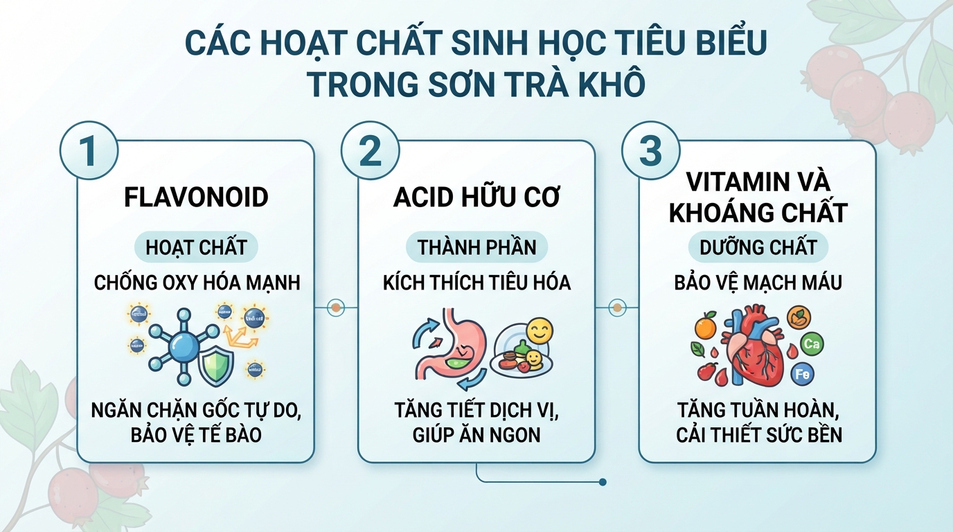 Thành phần hoạt chất sinh học tiêu biểu có trong dược liệu sơn trà khô.