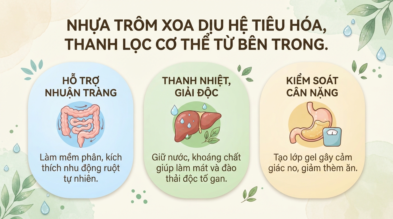 Mủ trôm: Tác dụng, cách dùng và những lưu ý an toàn cho sức khỏe