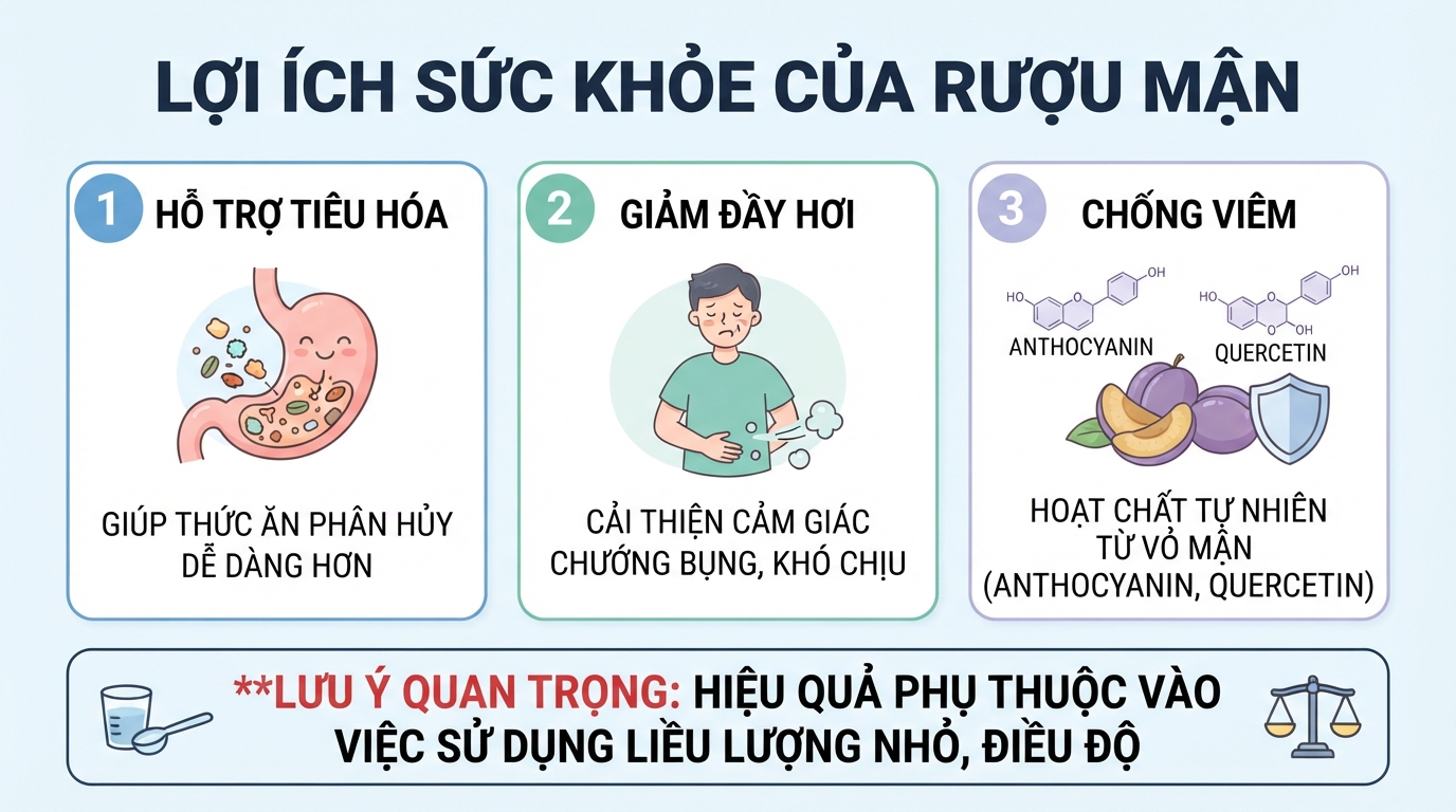 Uống rượu mận đúng liều lượng giúp kích thích dịch vị dạ dày và giảm đầy hơi.
