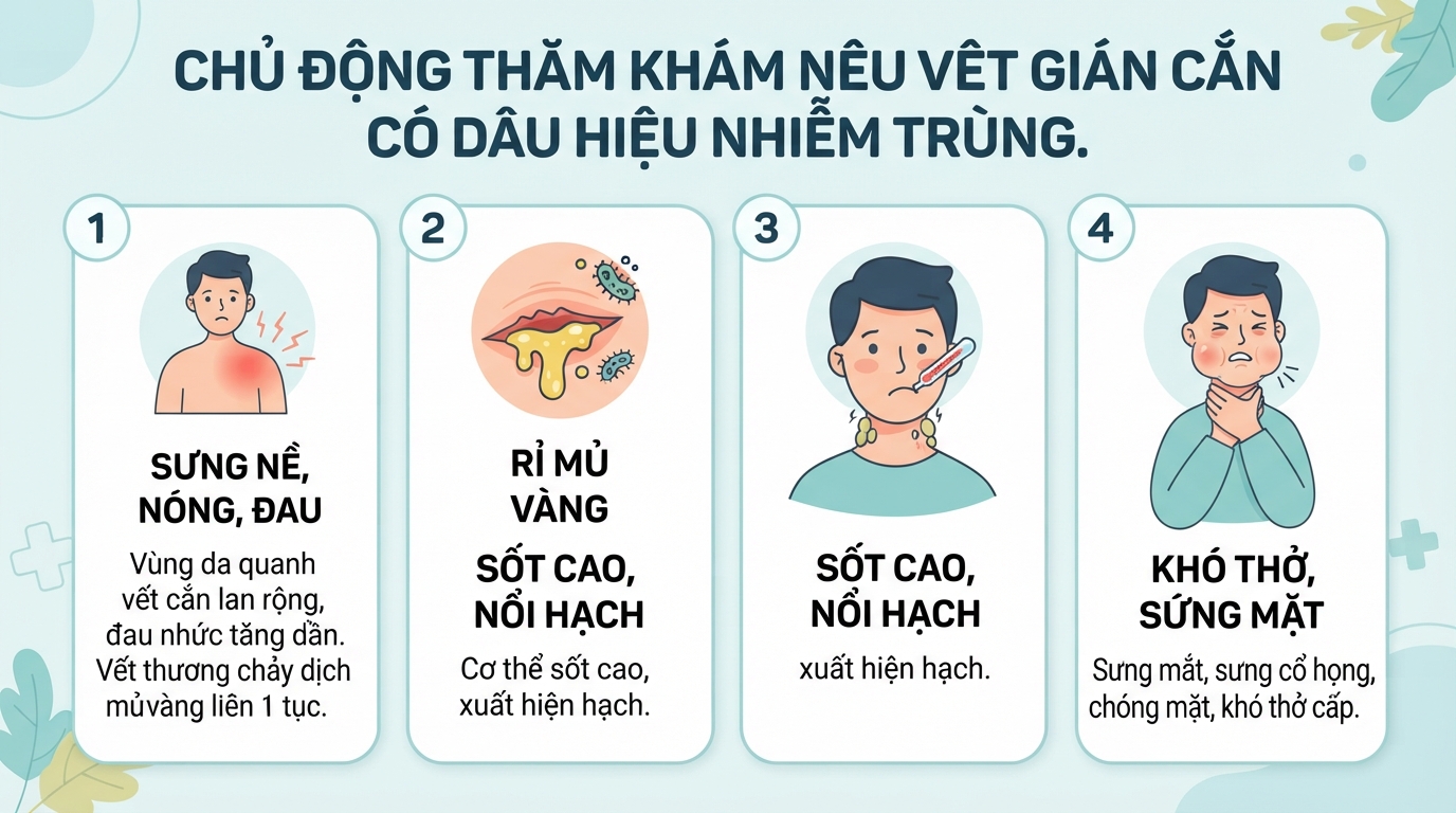 Vết gián cắn: Dấu hiệu, mức độ nguy hiểm và cách xử lý an toàn