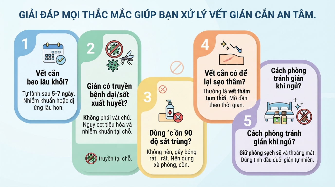 Vết gián cắn: Dấu hiệu, mức độ nguy hiểm và cách xử lý an toàn
