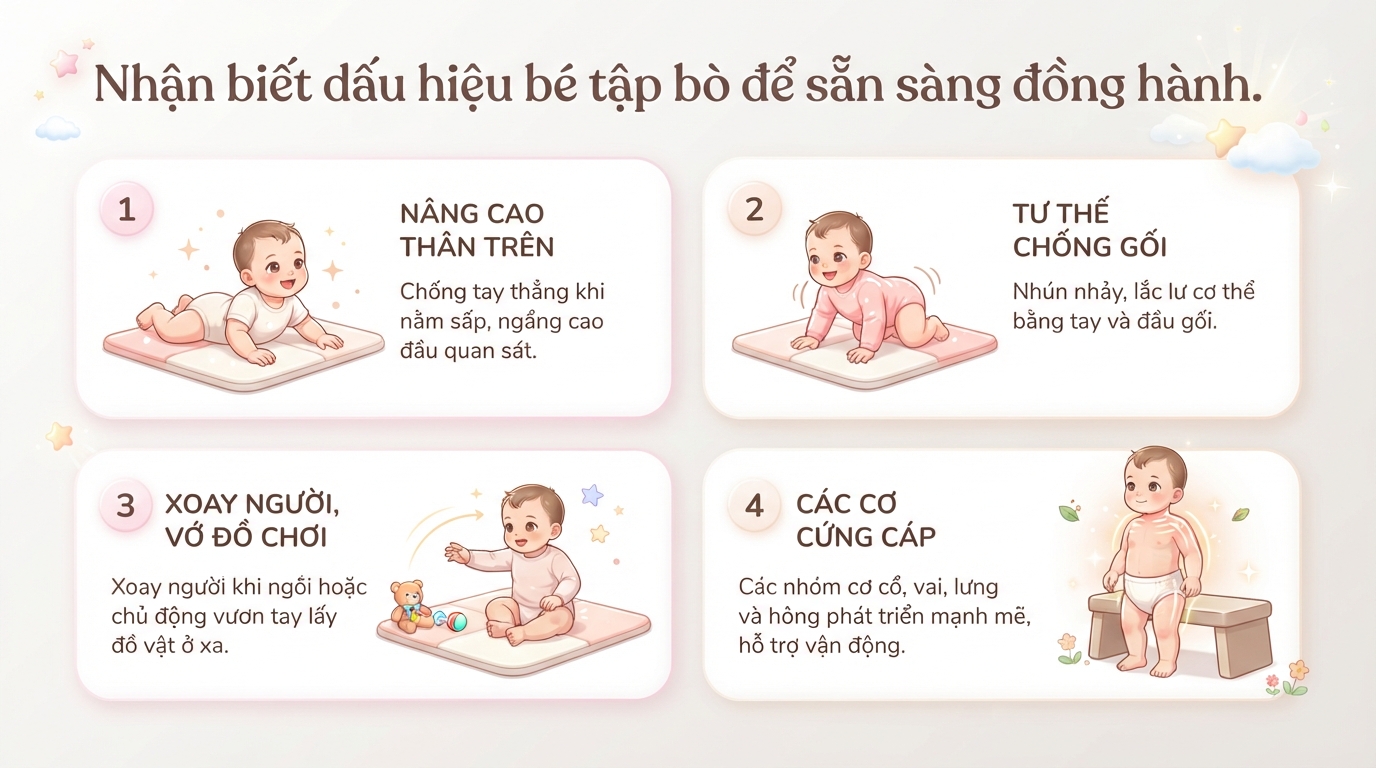 Bé mấy tháng biết bò? Dấu hiệu, cách hỗ trợ và dinh dưỡng khoa học