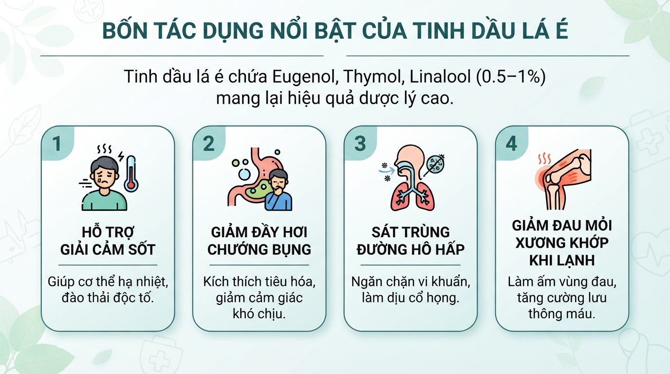 Bốn tác dụng nổi bật của tinh dầu lá é đối với sức khỏe con người.