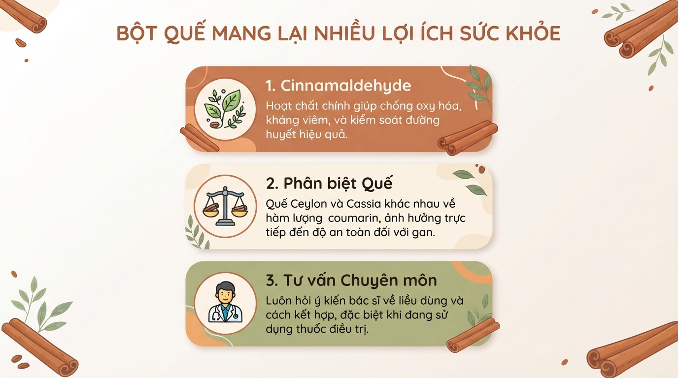 Bột quế: Tác dụng, cách dùng và lưu ý an toàn