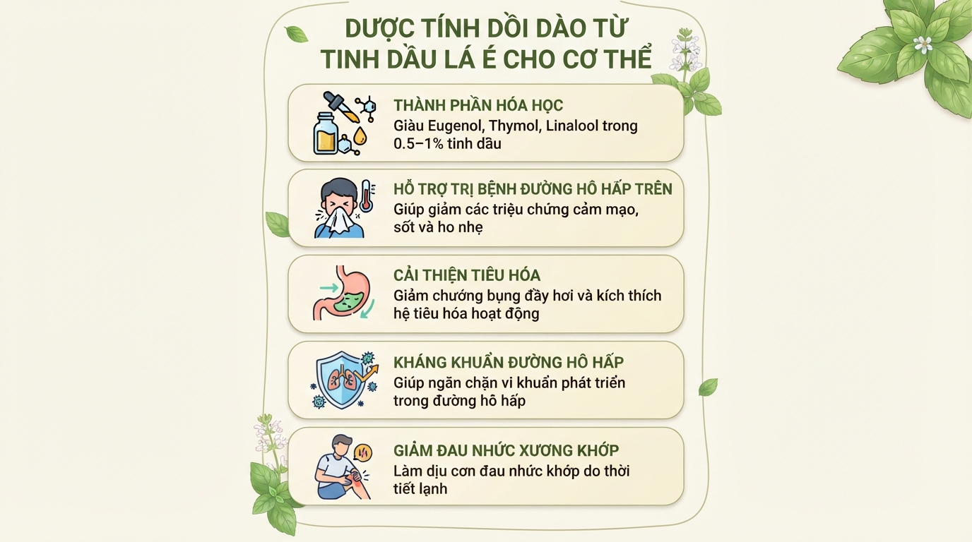 Lá é là gì? Công dụng và cách phân biệt với húng quế