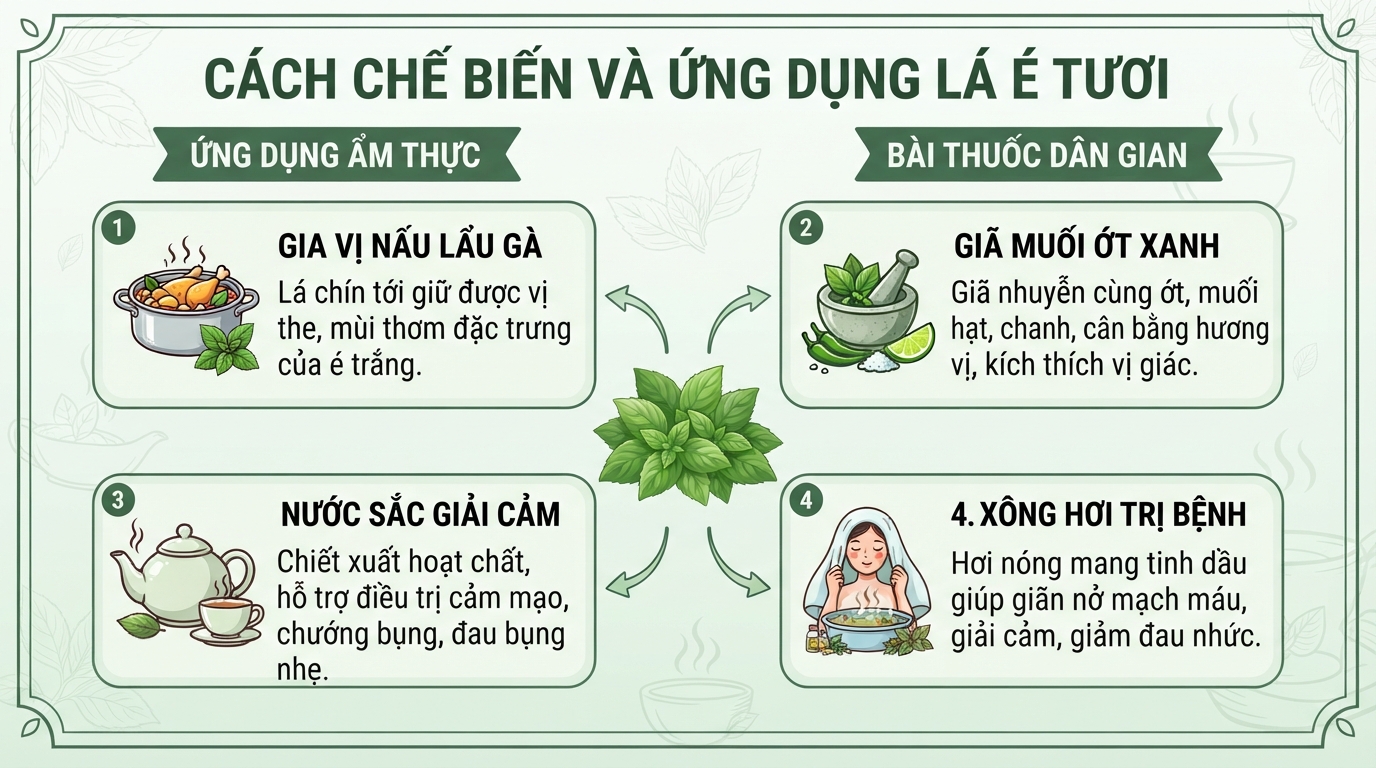 Cách chế biến lá é tươi làm gia vị và hãm nước xông giải cảm.