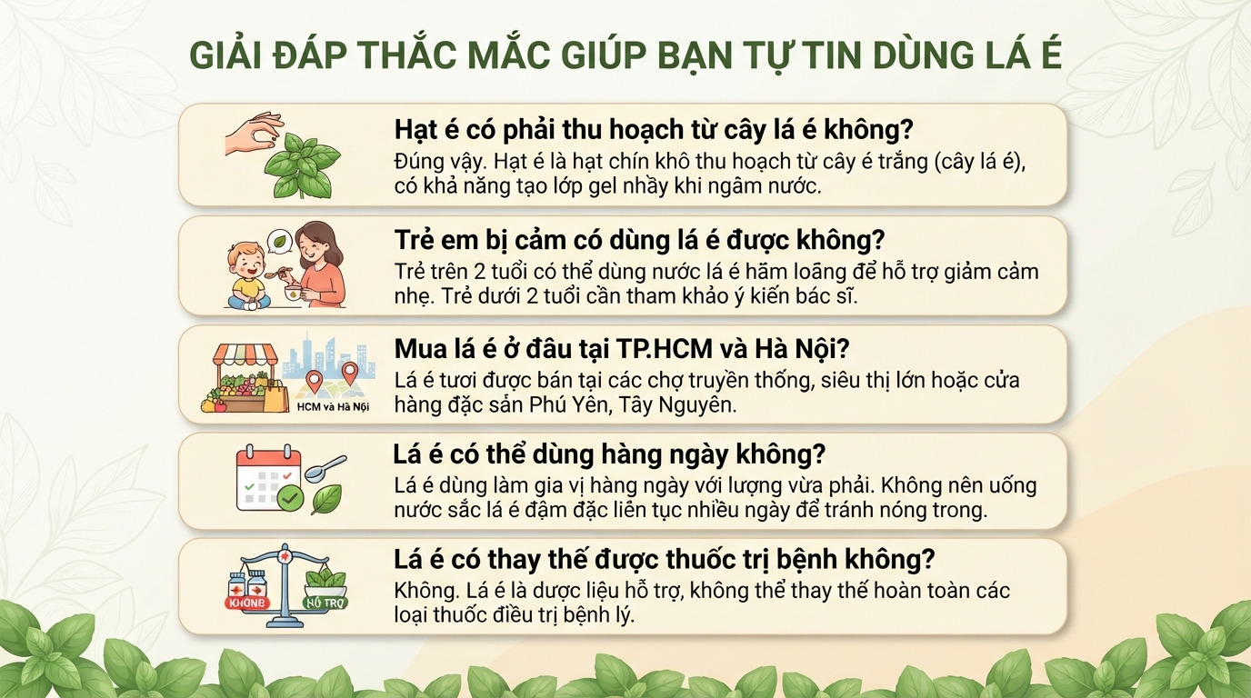 Lá é là gì? Công dụng và cách phân biệt với húng quế