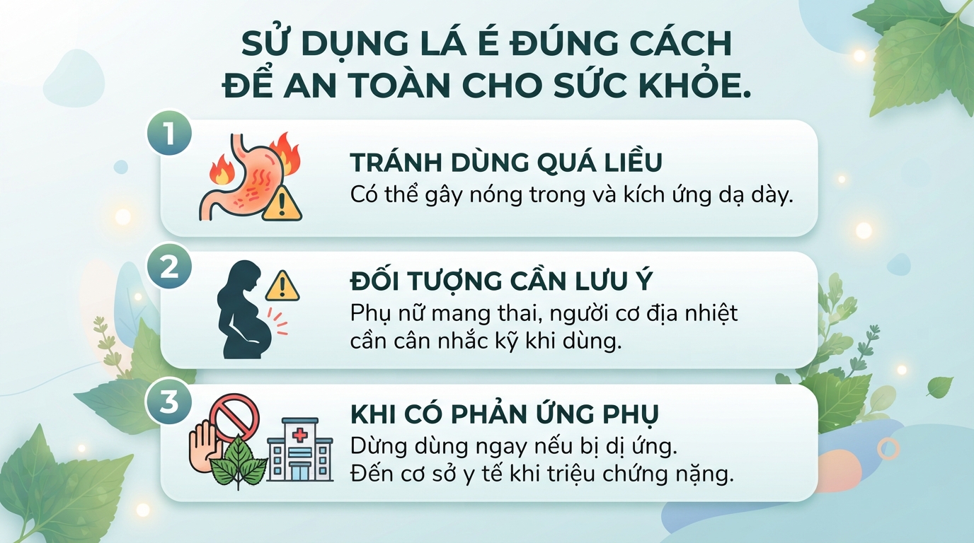 Lá é là gì? Công dụng và cách phân biệt với húng quế