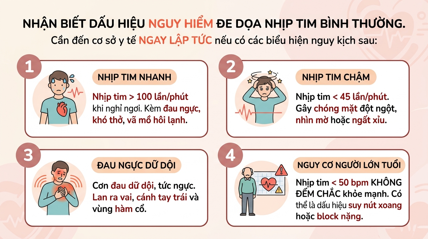 Nhịp tim bình thường là bao nhiêu? Cách đo và theo dõi chuẩn tại nhà