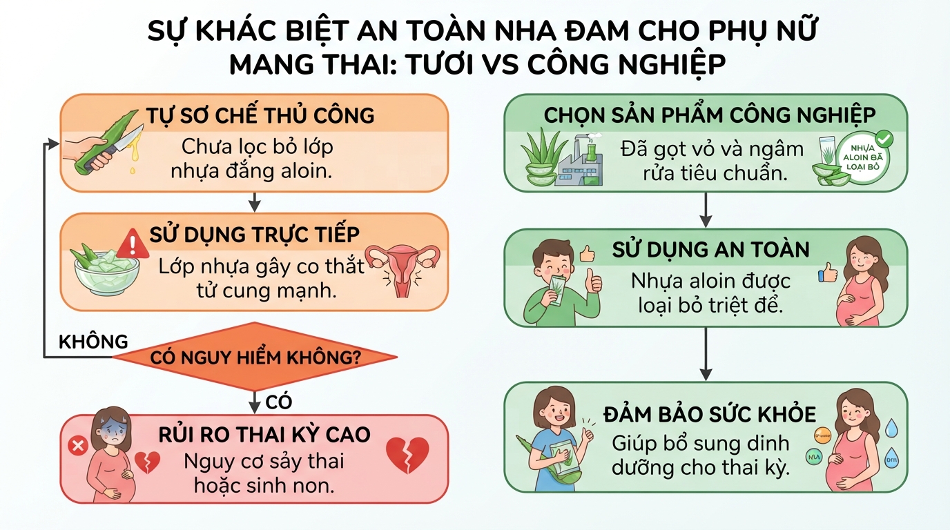 Sự khác biệt về mức độ an toàn giữa nha đam tươi và sản phẩm chế biến công nghiệp.