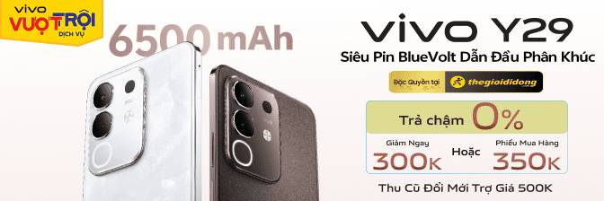 VIVO Y29