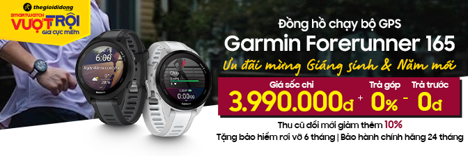 Garmin T12