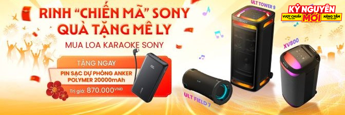 Loa Sony
