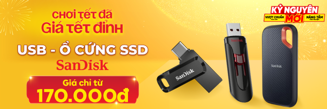 Sandisk Desk T2