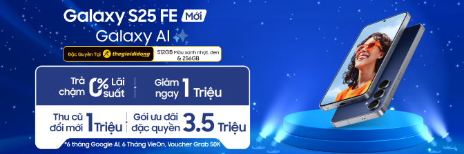S25 FE