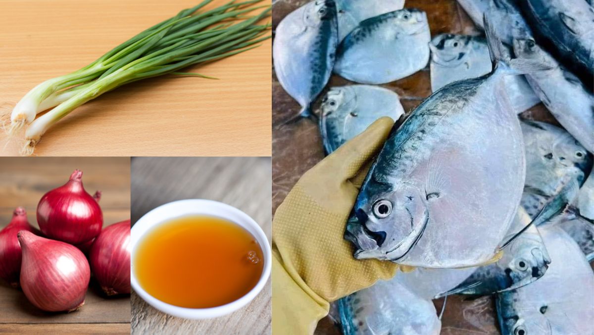 Nguyên liệu món ăn cá bánh lái là cá gì? 3 món ăn từ cá bánh lái ngon nhất bạn nên thử