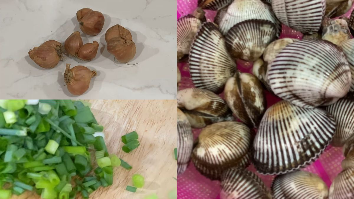 Nguyên liệu món ăn sò lông nướng mỡ hành bằng nồi chiên không dầu