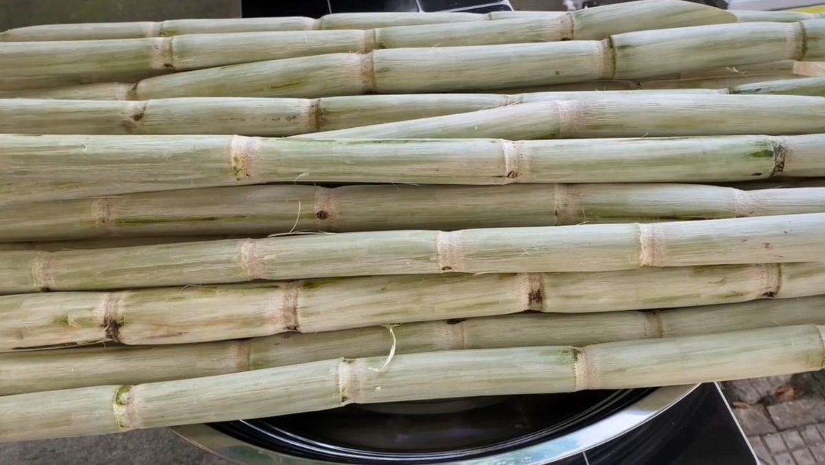 Nguyên liệu món ăn mật mía từ nước mía