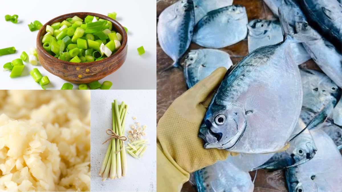 Nguyên liệu món ăn cá bánh lái là cá gì? 3 món ăn từ cá bánh lái ngon nhất bạn nên thử