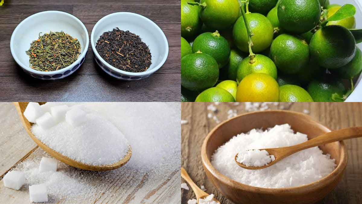 Nguyên liệu món ăn cách làm trà tắc để bán