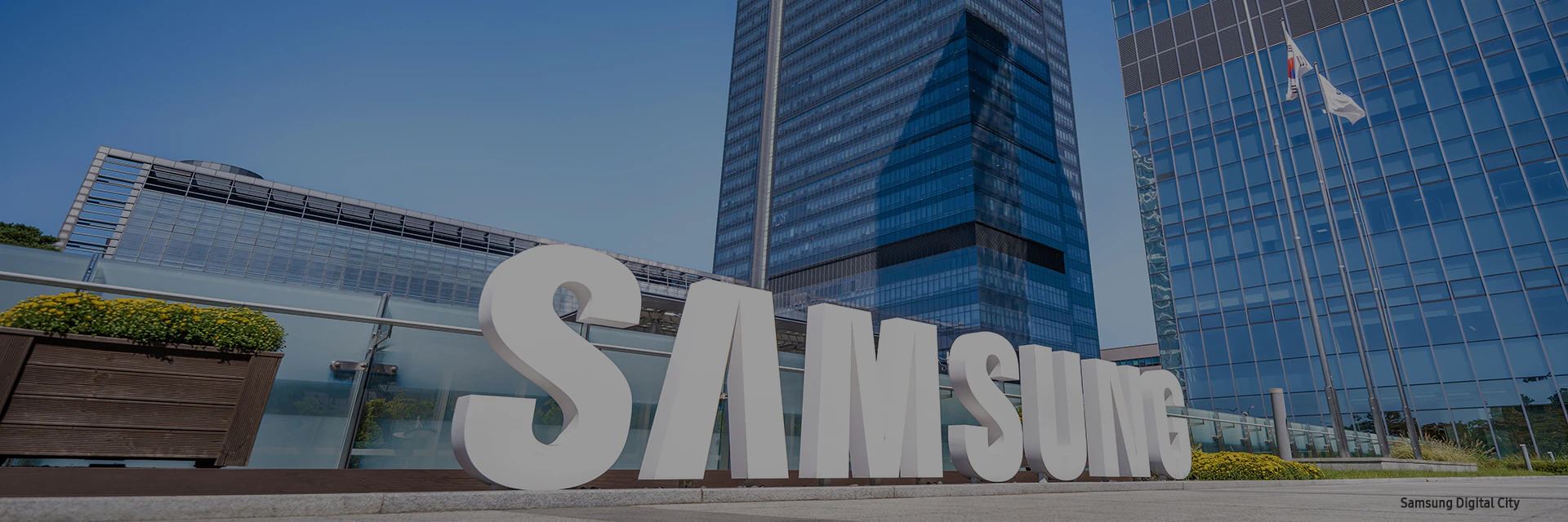 smart watch samsung