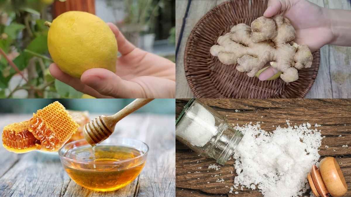 Nguyên liệu món ăn cách ngâm chanh gừng đường phèn