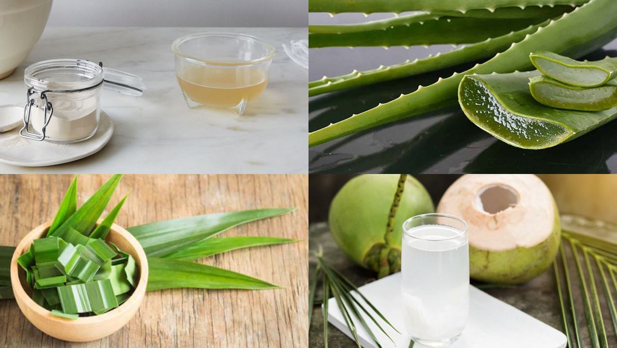 Nguyên liệu món ăn thạch nha đam