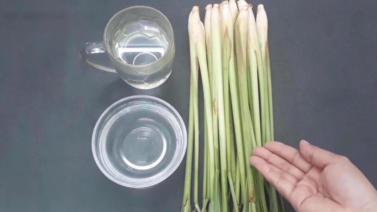 Nguyên liệu món ăn cách làm tinh dầu sả tại nhà