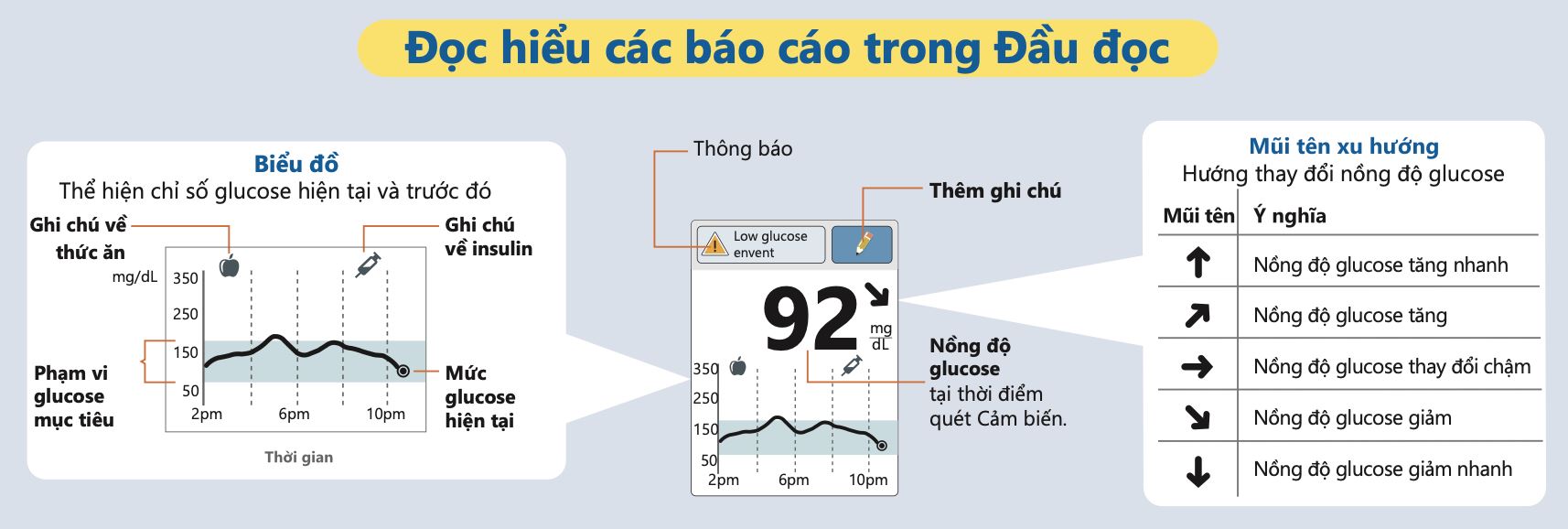 Đầu đọc đường huyết cầm tay Abbott Freestyle Libre