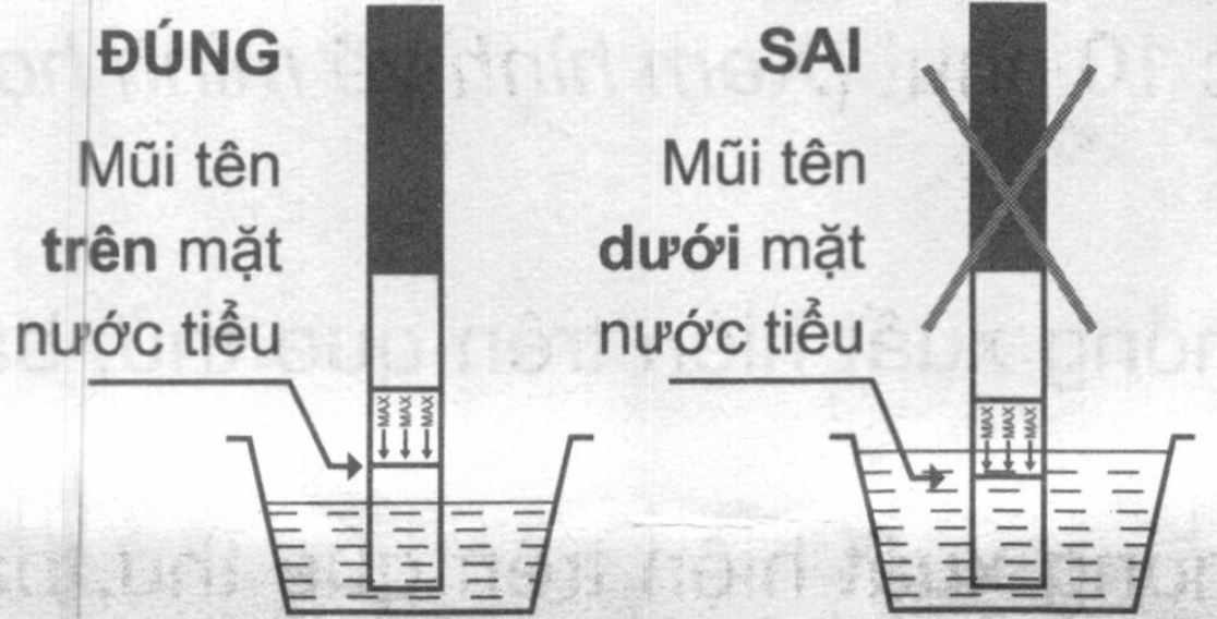 Que thử thai Chip-chips One-step Pregnancy Test