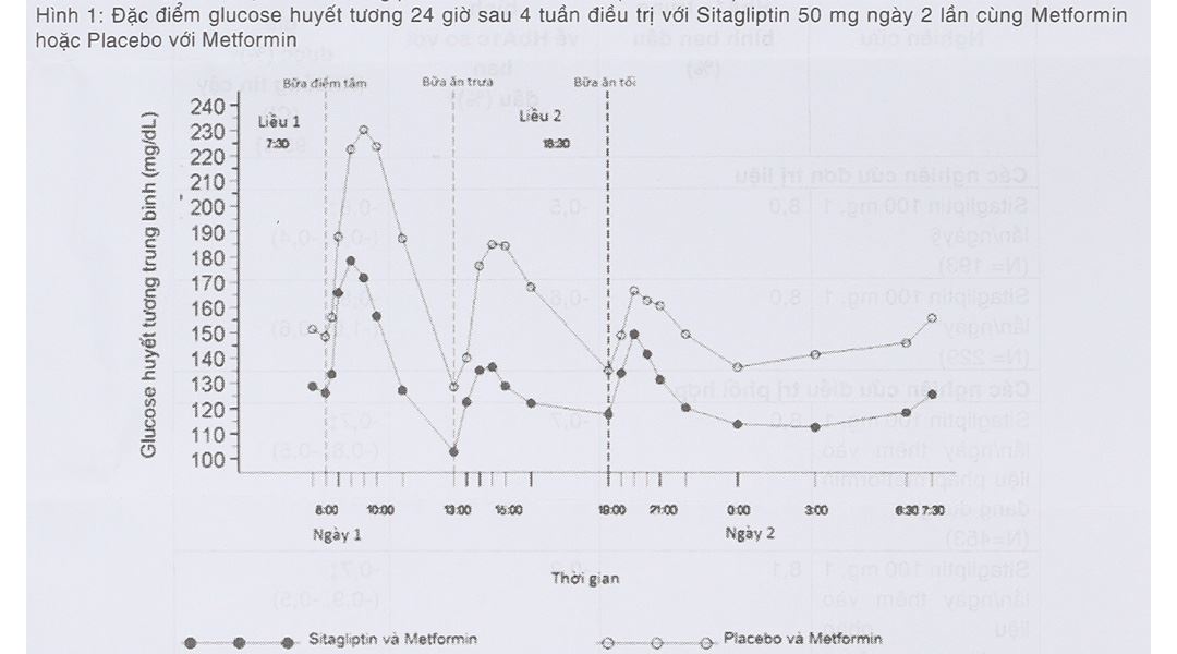 Hình 1: Đặc điểm glucose huyết tương 24 giờ sau 4 tuần điều trị với Sitagliptin 50 mg ngày 2 lần cùng Metformin hoặc Placebo với Metformin