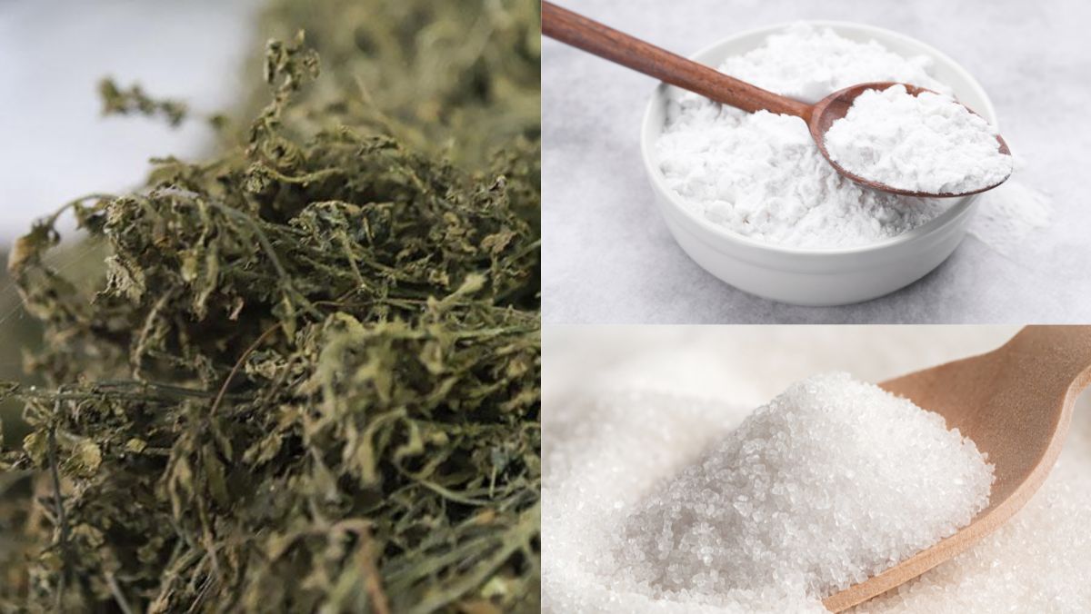 Nguyên liệu món ăn cách làm thạch đen cao bằng