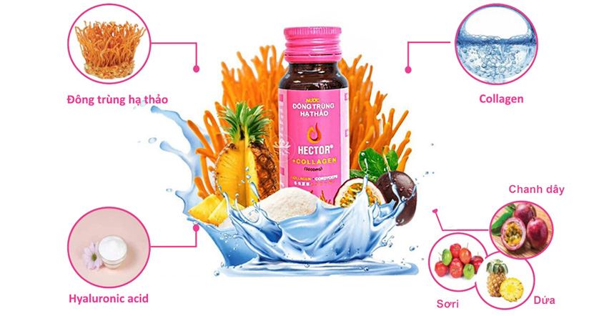 Nước uống đông trùng hạ thảo Hector + Collagen hạn chế lão hóa