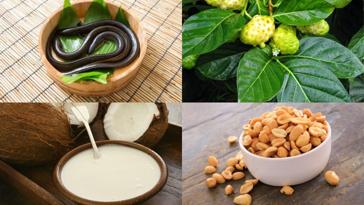 Nguyên liệu món ăn lươn um lá nhàu
