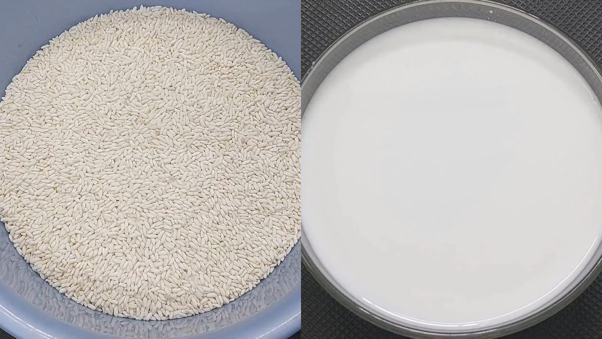 Nguyên liệu món ăn xôi trắng nước cốt dừa