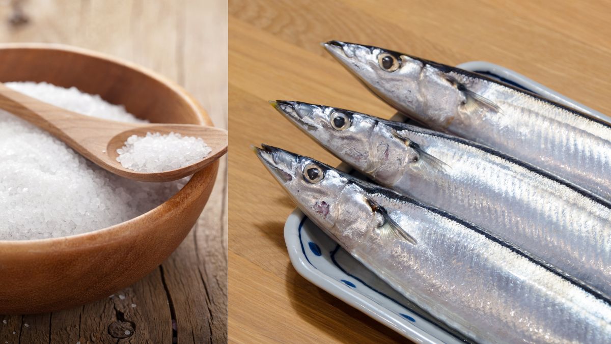 Nguyên liệu món ăn cá thu đao là cá gì? cá thu đao nấu món gì ngon?