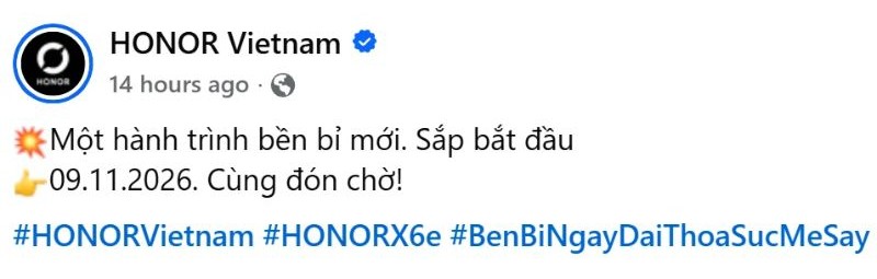 Honor X6E